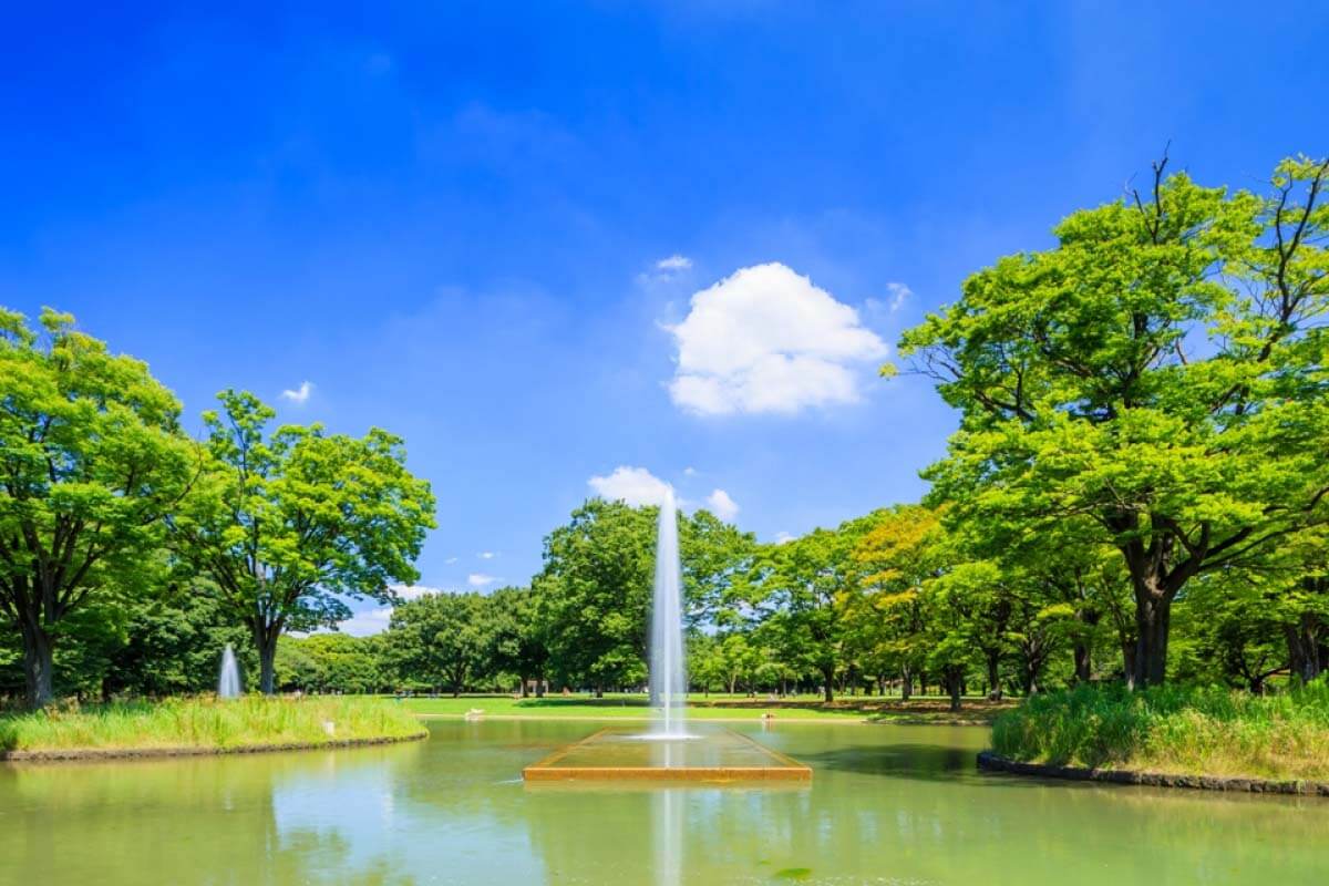 Yoyogi Park