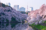 Imperial Palace