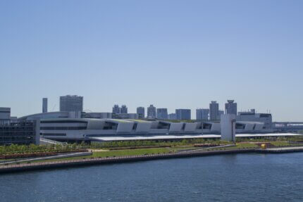 Toyosu Fish Market